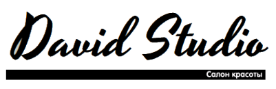 Логотип компании David Studio